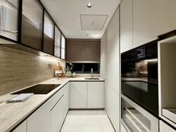 River Green (D9), Condominium #581960571